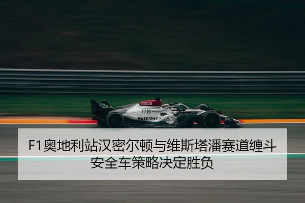 ao-di-li-zhan-han-mi-er-dun-yu-wei-si-ta-pan-sai-dao-chan-dou-an-quan-che-ce-lve-jue-ding-sheng-fu-2-281.jpg